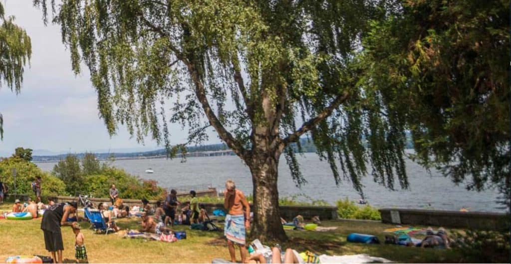 People hanging out at Denny Blaine park in Seattle