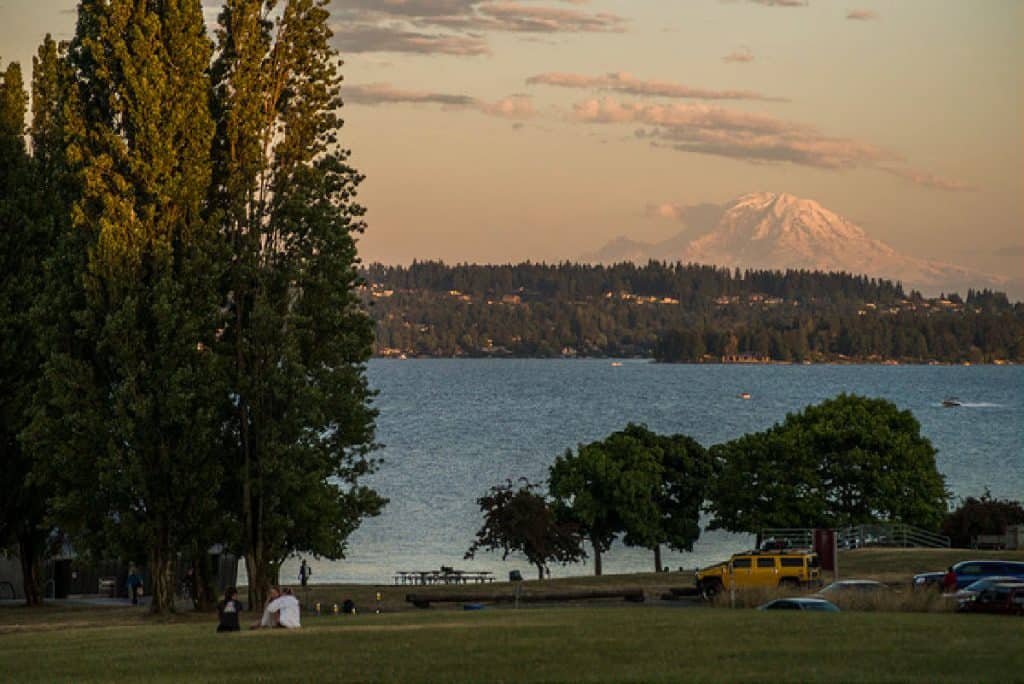 a grassy park and a lake in the background